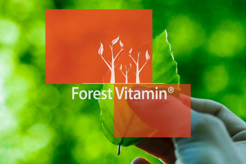 Forest Vitamin® Guarana Extract 525 mg - 60 Capsules - Image 10