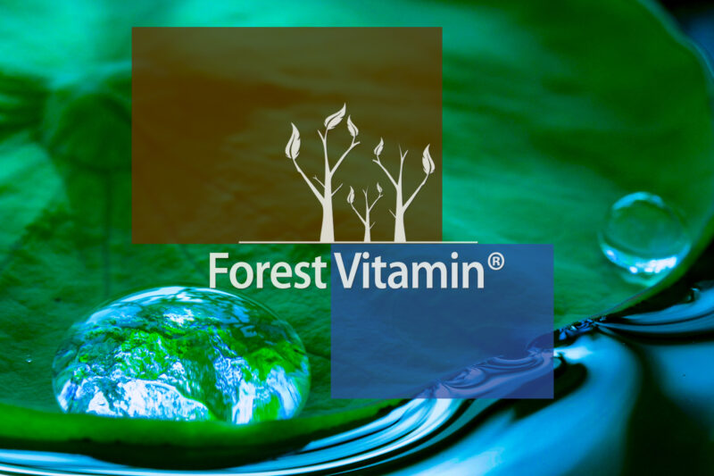Forest Vitamin® Caffeine 200 mg - 100 Tablets - Image 10