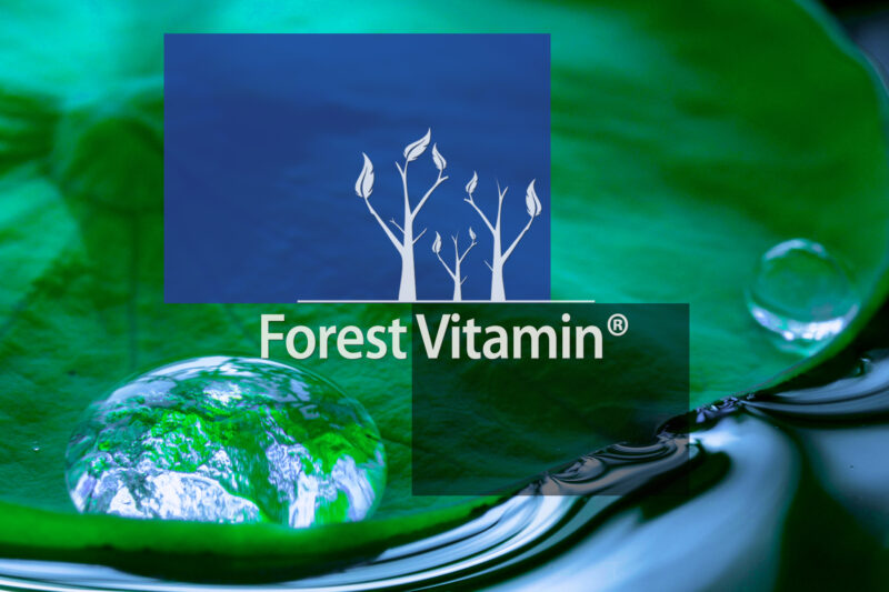 Forest Vitamin® Kofeina Bezwodna - Proszek - obrazek 14