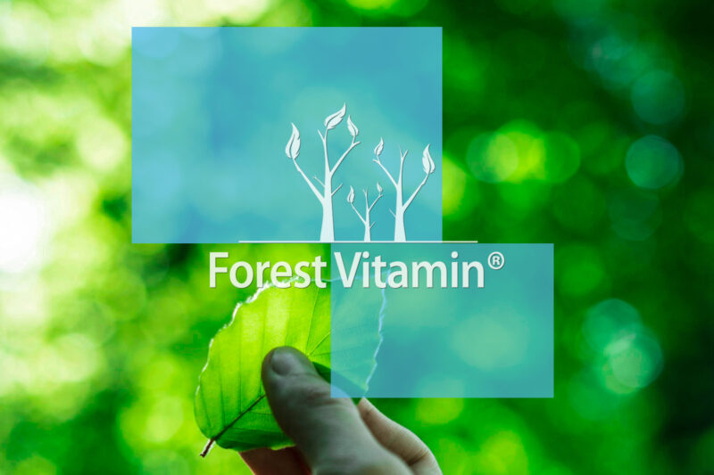 Forest Vitamin® Magnez Cytrynian 450 mg + Witamina B6 - Tabletki - obrazek 11