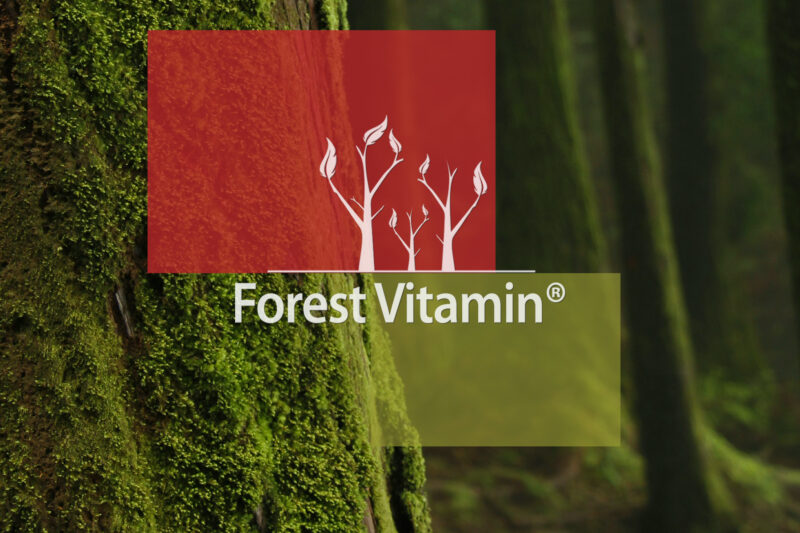 Forest Vitamin® Coenzyme Q10 100 mg - Softgel Capsules - Image 17