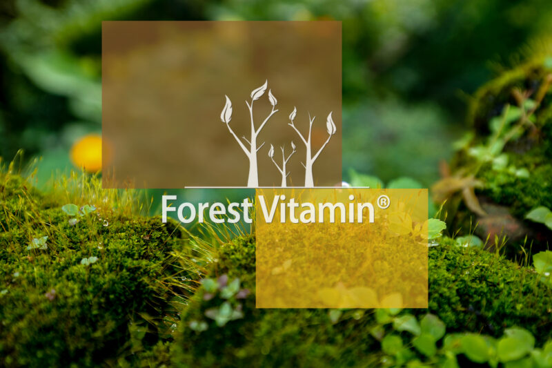 Forest Vitamin® Różeniec Górski Ekstrakt 100 mg - 100 Kapsułek - obrazek 9