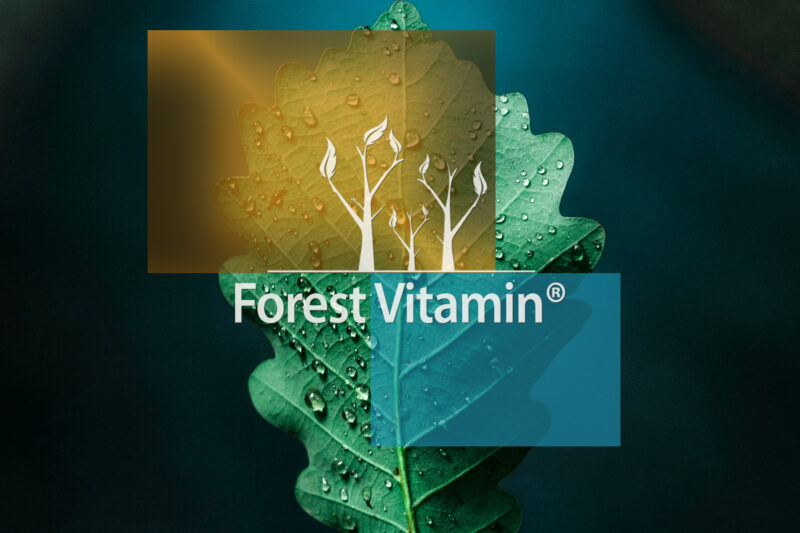 Forest Vitamin® Naturalna Witamina E - 100 Kapsułek - obrazek 9