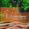 Forest Vitamin® Ashwagandha Ekstrakt 700 mg - 100 Kapsułek - obrazek 5