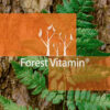 Forest Vitamin® Ashwagandha Ekstrakt 700 mg - 100 Kapsułek - obrazek 10