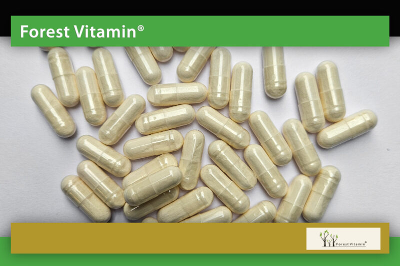 Forest Vitamin® Apple Cider Vinegar Extract 500 mg – 60 Capsules - Image 9