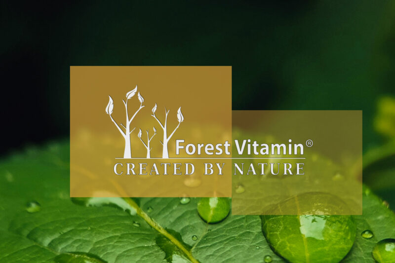 Forest Vitamin® Nattokinase 200 mg - 60 Capsules - Image 5