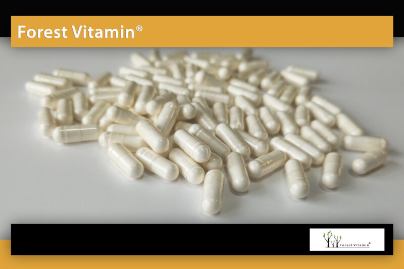 Forest Vitamin® Nattokinaza 200 mg - 60 Kapsułek - obrazek 10