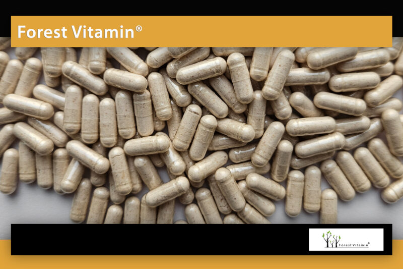 Forest Vitamin® Nattokinase 200 mg - 60 Capsules - Image 10