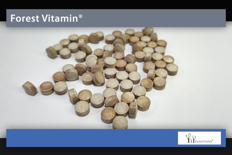 Forest Vitamin® Iron 30 mg - 100 Tablets - Image 10