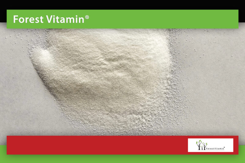 Forest Vitamin® Uridine - Powder - Image 12