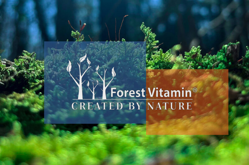 Forest Vitamin® TUDCA 250 mg - Capsules - Image 6