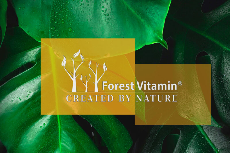 Forest Vitamin® Zeaxanthin Extract 100 mg - 60 Capsules - Image 4