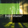 Forest Vitamin® Vitamin D3 10.000 IU - Capsules - Image 12