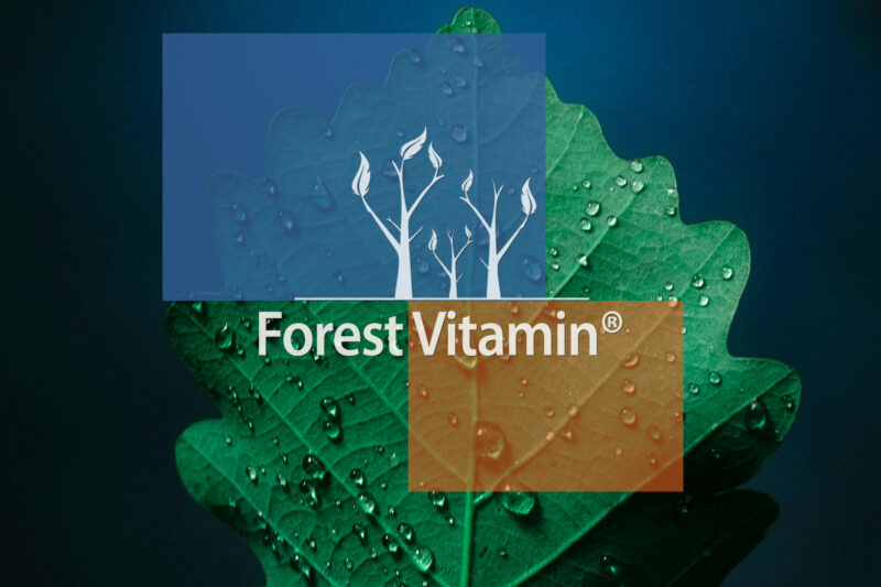 Forest Vitamin® TUDCA 250 mg - Capsules - Image 19