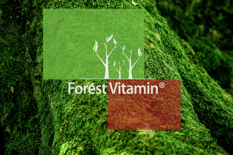Forest Vitamin® Uridine - Powder - Image 13