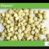 Forest Vitamin® Rutyna Ekstrakt 200 mg - 100 Tabletek - obrazek 10