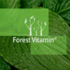 Forest Vitamin® Rutyna Ekstrakt 200 mg - 100 Tabletek - obrazek 11