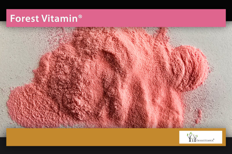 Forest Vitamin® Acerola Ekstrakt - Proszek - obrazek 12