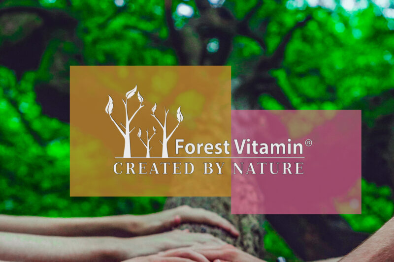 Forest Vitamin® Acerola Ekstrakt - Proszek - obrazek 5