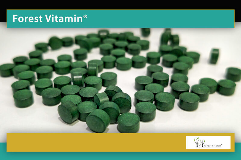 Forest Vitamin® Spirulina 250 mg - 250 Tablets - Image 9