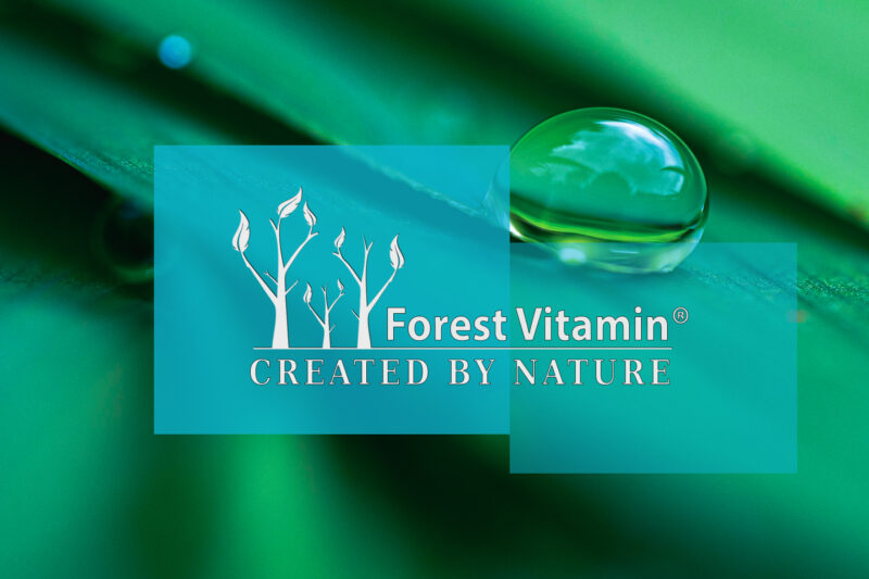 Forest Vitamin® Fish Collagen - 250 & 500 gram Powder - Image 5