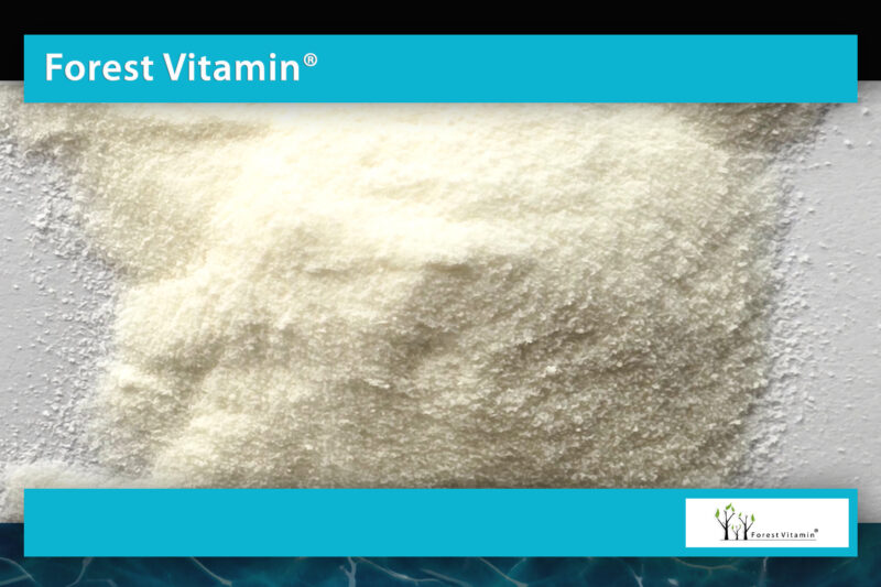 Forest Vitamin® Fish Collagen - 250 & 500 gram Powder - Image 14