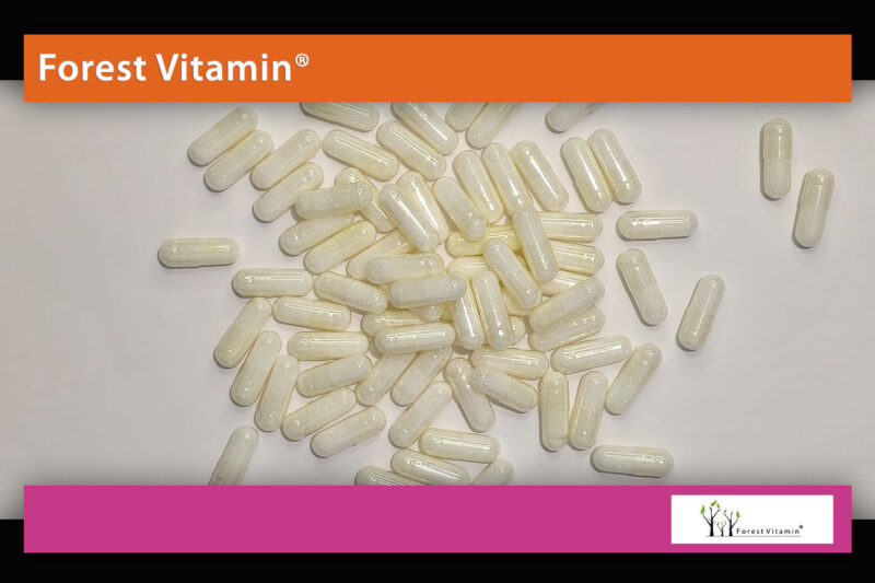Forest Vitamin® L-KARNITYNA 500 mg - 100 Kapsułek - obrazek 9