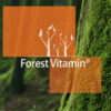 Forest Vitamin® SAMe 200 mg - 60 Tabletek - obrazek 10