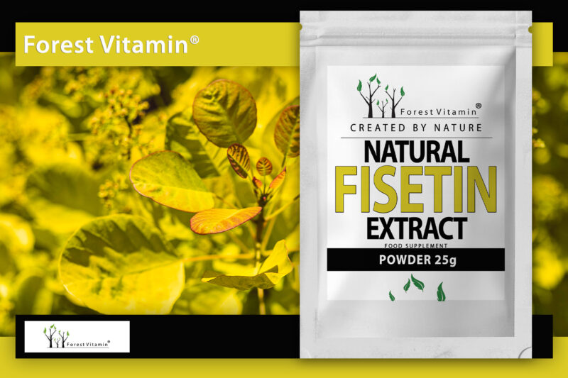 Forest Vitamin® - Naturalna Fisetyna Ekstrakt - 25g Proszek - obrazek 8