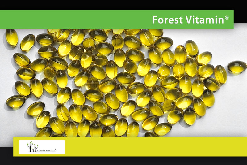 Forest Vitamin® Witamina D3 5000 iu - Softgel Kapsułki - obrazek 11