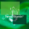 Forest Vitamin® Monohydrat KREATYNY w Proszek - obrazek 12