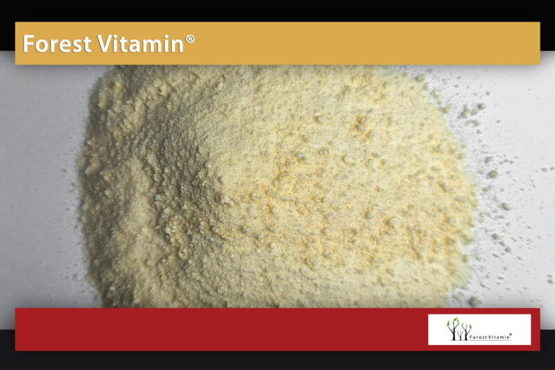 Forest Vitamin® Bovine Collagen - 250 and 500 grams Powder - Image 16