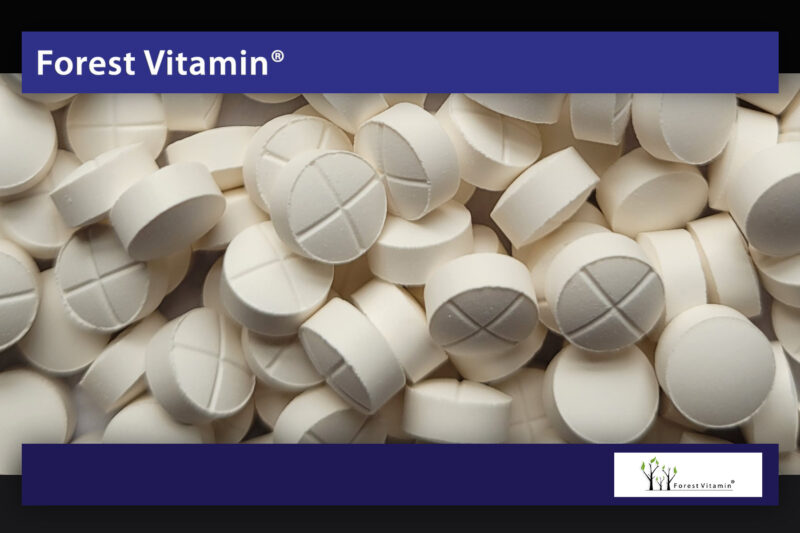 Forest Vitamin® Melatonina 1 mg - 180 Tabletek - obrazek 8
