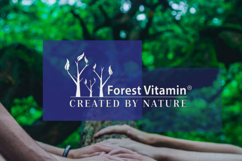 Forest Vitamin® Melatonina 1 mg - 180 Tabletek - obrazek 4