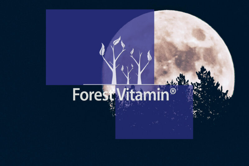 Forest Vitamin® Melatonina 1 mg - 180 Tabletek - obrazek 9