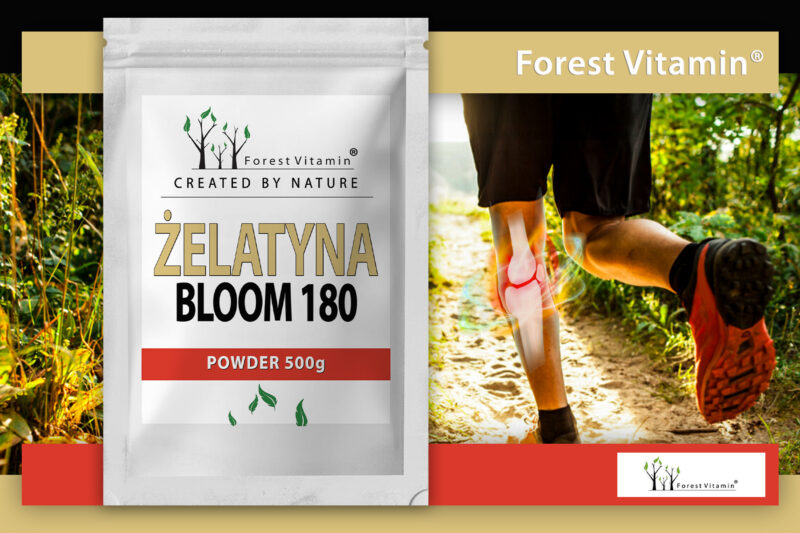 Forest Vitamin® ŻELATYNA SPOŻYWCZA WIEPRZOWA - 500g Proszek - obrazek 6