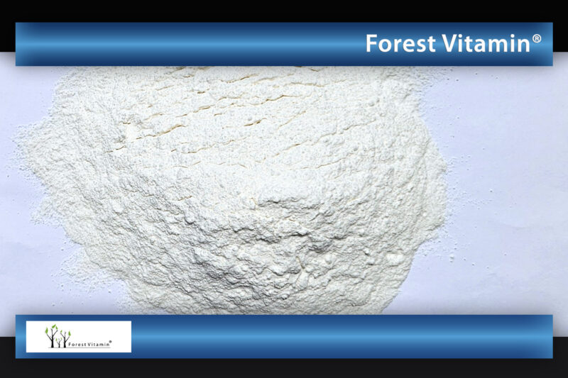 Forest Vitamin® Pure BCAA 2:1:1 Instant - 500 grams Powder - Image 10