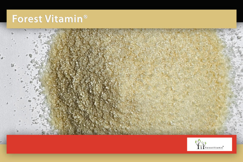 Forest Vitamin® ŻELATYNA SPOŻYWCZA WIEPRZOWA - 500g Proszek - obrazek 9