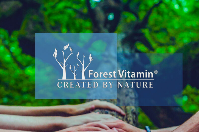 Forest Vitamin® Pure BCAA 2:1:1 Instant - 500 grams Powder - Image 7