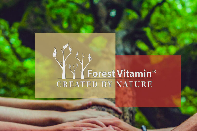 Forest Vitamin® ŻELATYNA SPOŻYWCZA WIEPRZOWA - 500g Proszek - obrazek 4