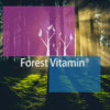 Forest Vitamin® Enzymy Trawienne Kompleks 150 mg - DIGEZYME ENZYMES - 100 Kapsułek - obrazek 10