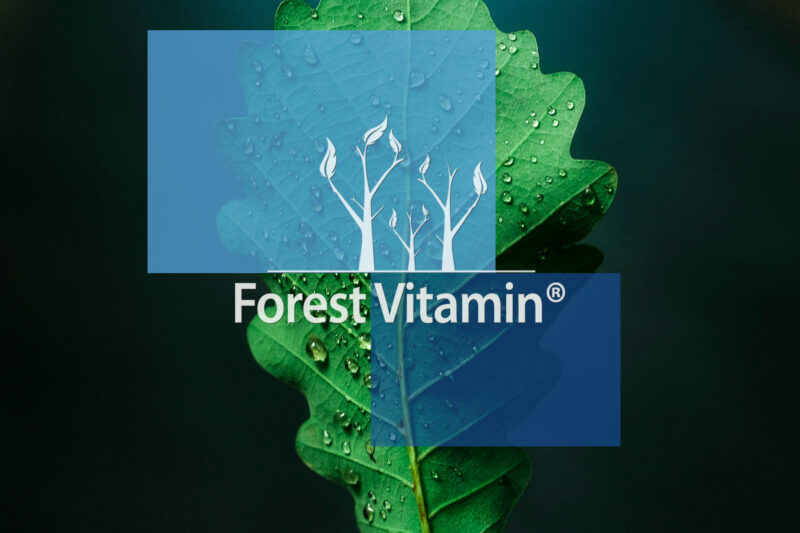 Forest Vitamin® Pure BCAA 2:1:1 Instant - 500 grams Powder - Image 11