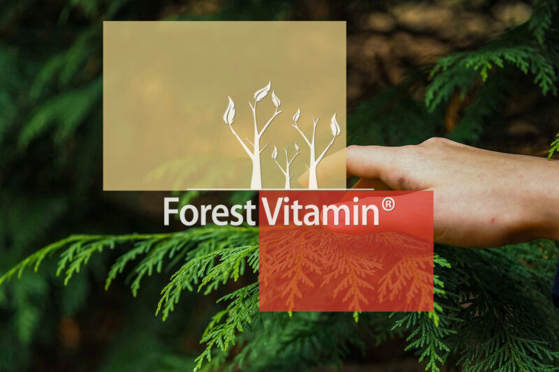 Forest Vitamin® ŻELATYNA SPOŻYWCZA WIEPRZOWA - 500g Proszek - obrazek 10