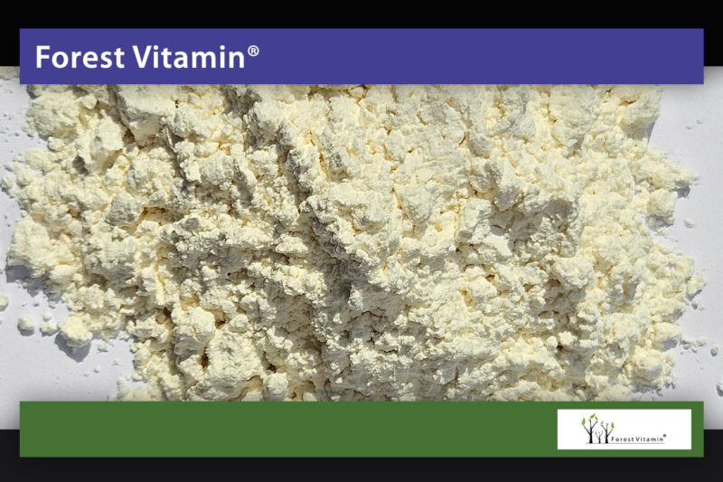 Forest Vitamin® Trans Resweratrol - 20g w Proszku - obrazek 10