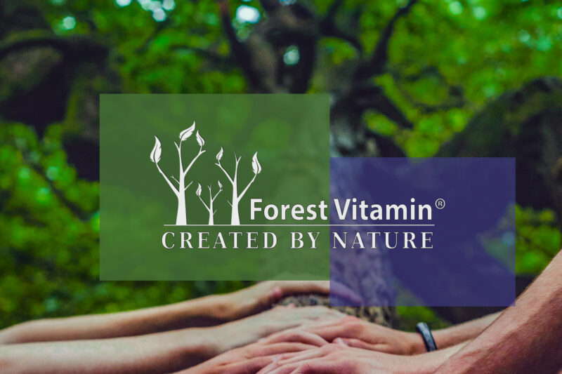 Forest Vitamin® Trans Resweratrol - 20g w Proszku - obrazek 6