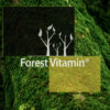 Forest Vitamin® – MUMIO Shilajit Extract 200 mg – 100 Capsules - Image 9
