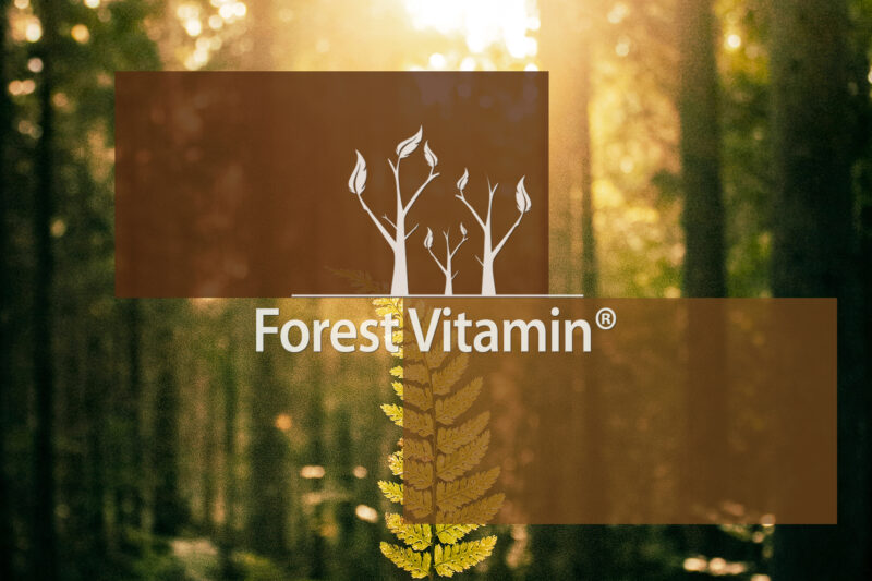 Forest Vitamin® - Astaxanthin BIO VEGAN 12 mg - 60 Oil Capsules - Image 12