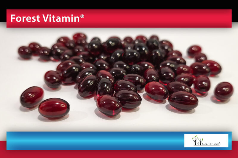 Forest Vitamin® Antarctic Krill Oil 500 mg - 60 SoftGel Capsules - Image 9