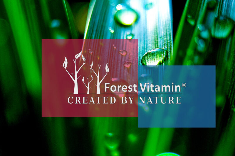 Forest Vitamin® Antarktyczny Olej z Kryla 500 mg - 60 Kapsułek SoftGel - obrazek 5